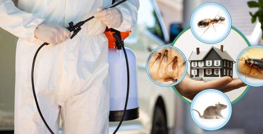 Sandıklı Böcek İlaçlama