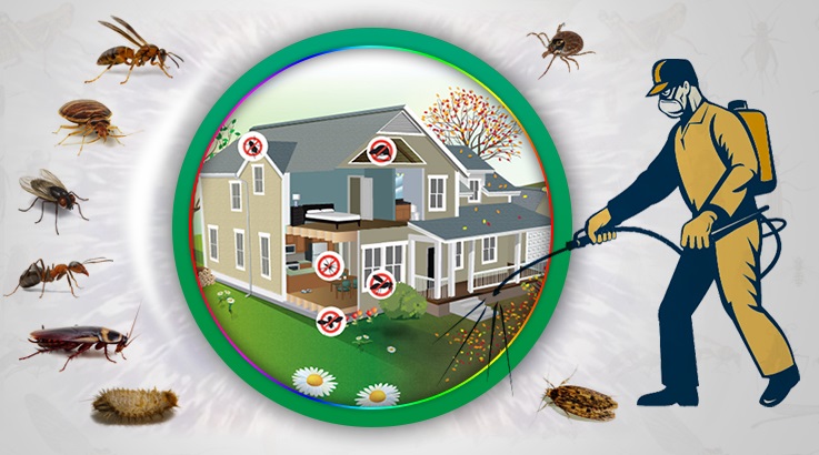 Sandıklı Böcek İlaçlama