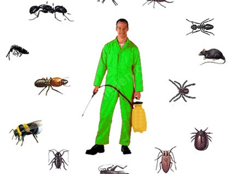 Sandıklı Böcek İlaçlama